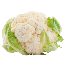 Bloemkool